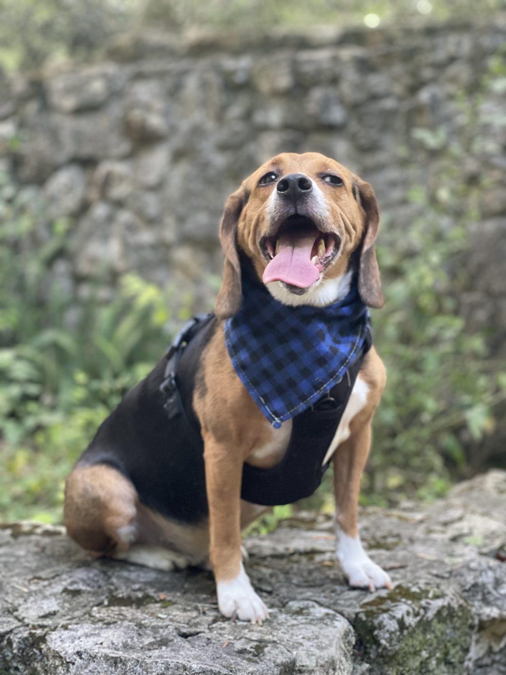 A happy guest enjoying the day