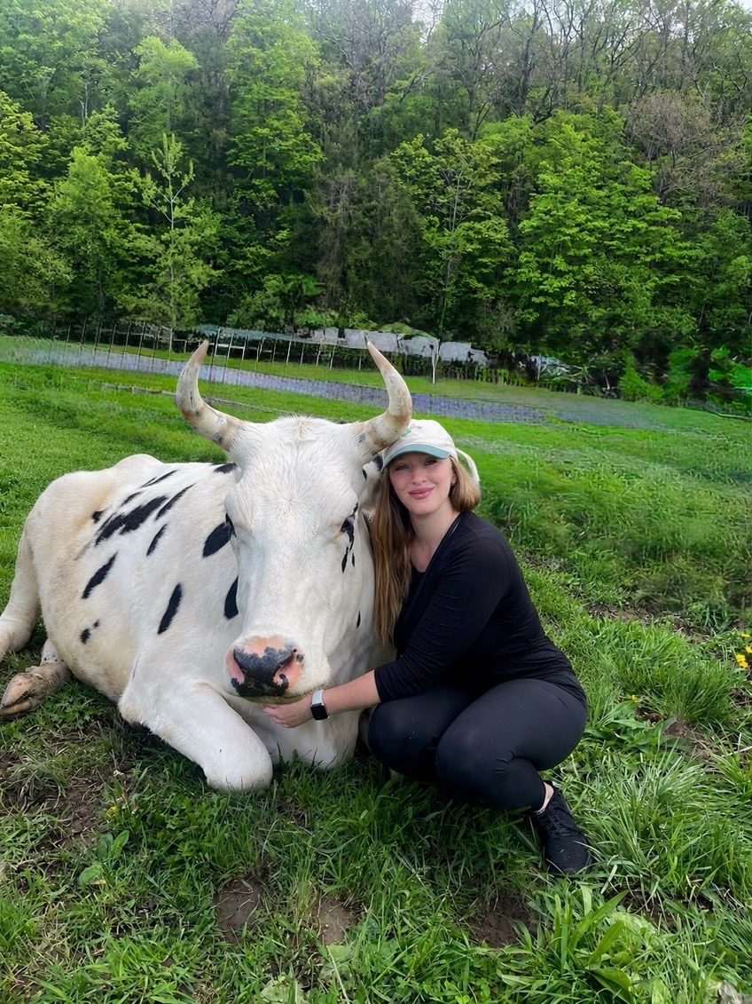 Michelle with a rescued cow